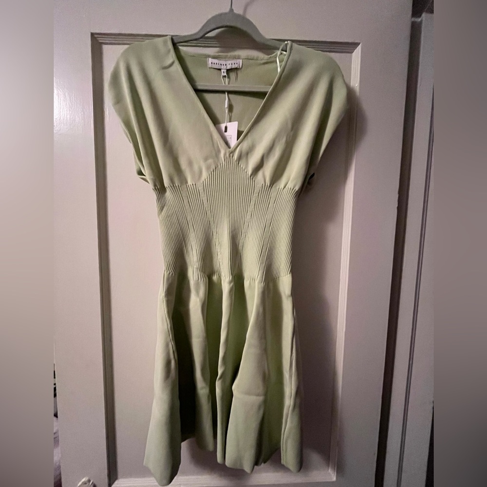 NWT Endless Rose Mini Dress